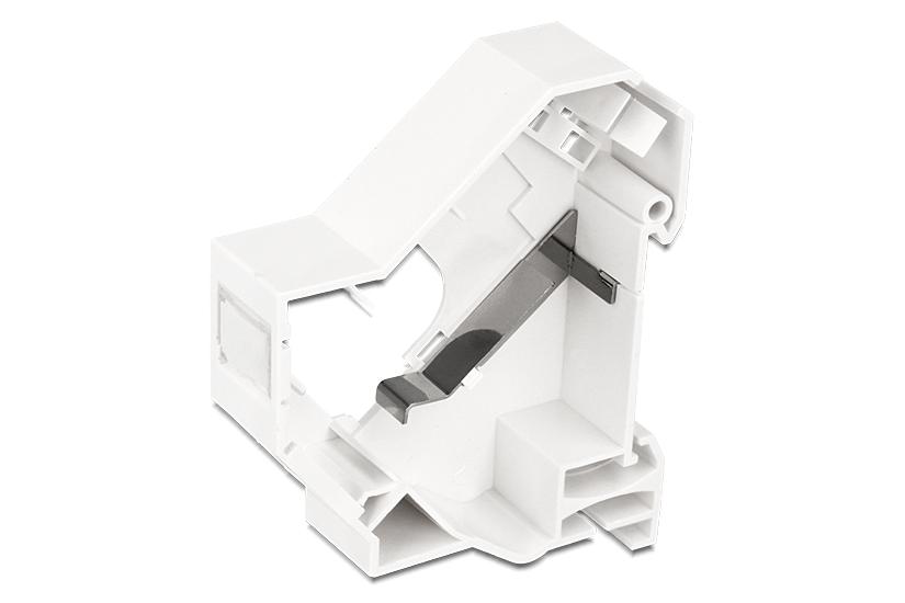 Delock Keystone Mounting For Din Rail Shielded Din Skinnemonteret Kontakt