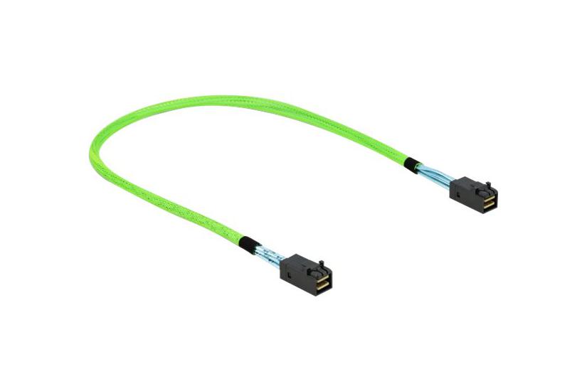 Delock Sas Internt Kabel 50 Cm