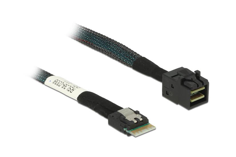 Delock Sas Internt Kabel 50 Cm