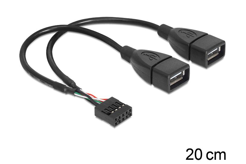 Delock Usb Intern Til Ekstern Kabel Usb Til Pins Usb Samlekasse 20 Cm