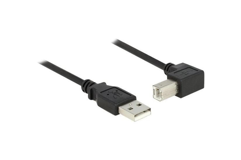 Delock Usb-kabel Usb Til Usb Type 50 Cm