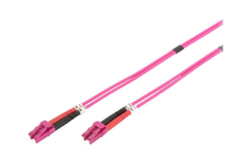 Digitus Patchkabel 10 10 Ral 4003