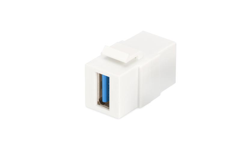 Digitus Professional Dn-93404 Modular Indlæg