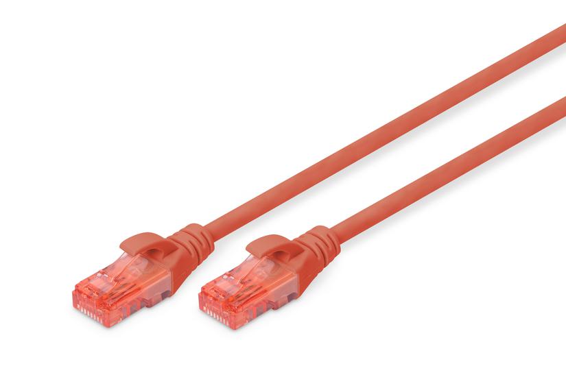 Digitus Professional Patchkabel Rød