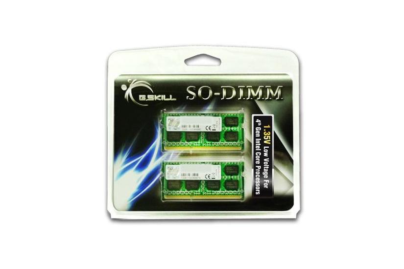 Skill Ddr3 Sæt Gb: Gb 1600 Mhz