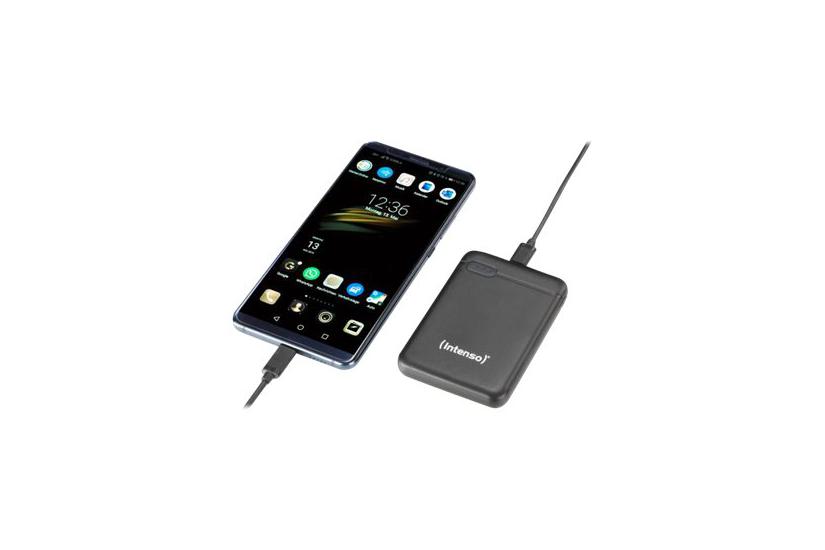 Intenso Xs10000 Powerbank Li-pol Usb 24 Pin Usb-