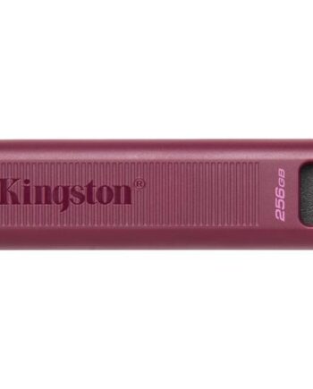 Kingston Datatraveler Max Usb Flashdrive 256 Gb