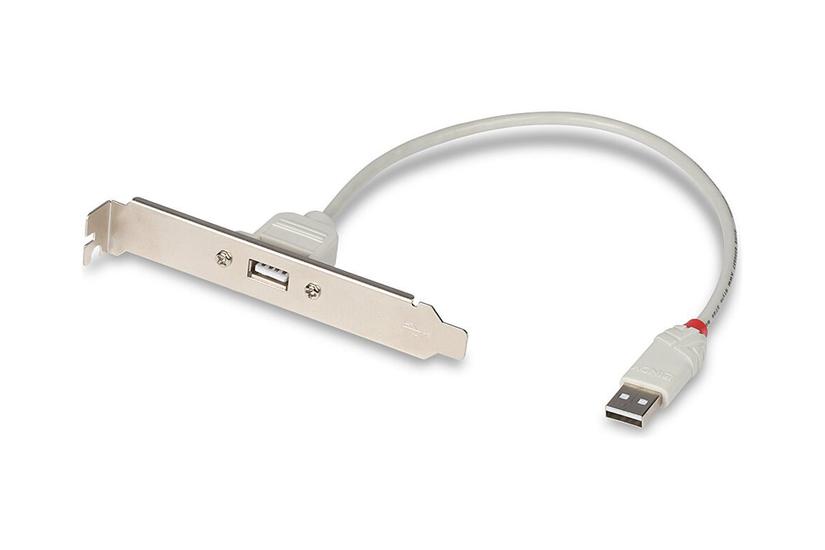 Lindy Usb Pc Back Plate Usb-adapter Usb Til Usb 30 Cm