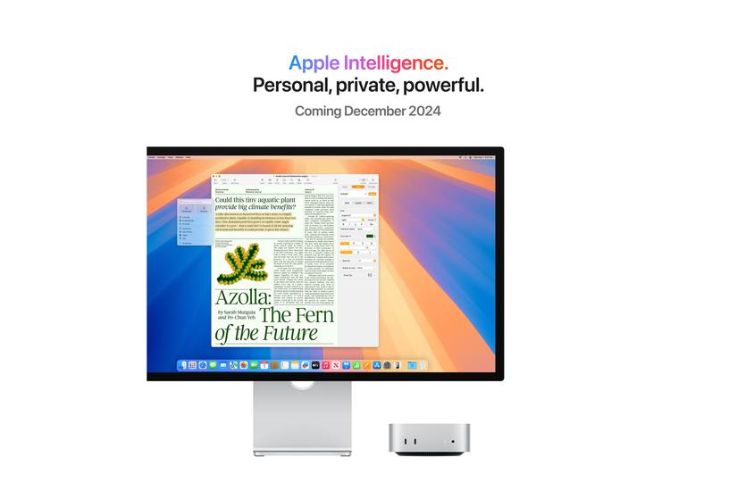 Apple Mac Mini M4 24 Gb Ssd 512 Gb