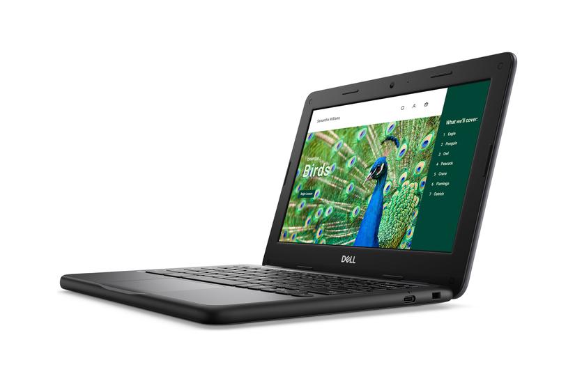 Dell Chromebook 3120 2024 Bærbar Pc Intel -series N100 Gb Lpddr5 64 Gb Emmc 11 Quot Tn