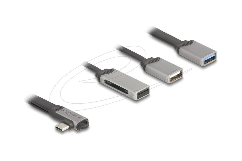 Delock Hub Porte