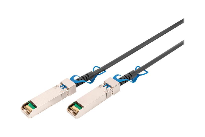 Digitus 25gbase-kabel Til Direkte Påsætning