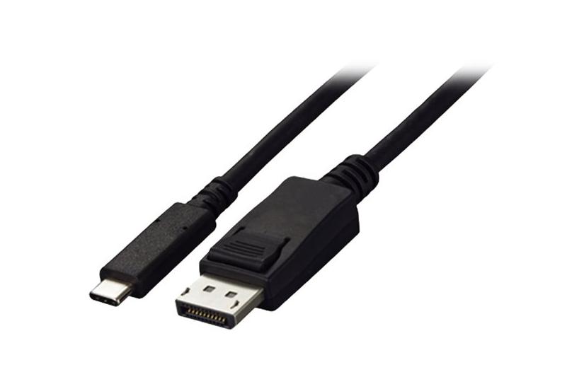 Eizo Cp200 Videoadapterkabel 24 Pin Usb- Til Displayport