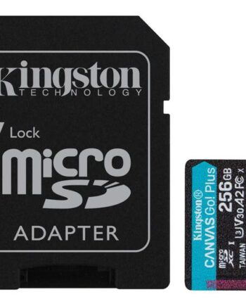 Kingston Canvas Go  Plus Flashhukommelseskort 256 Gb Microsdxc Uhs-