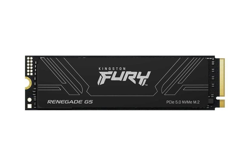 Kingston Fury Renegade G5 4tb Ssd Nvme Pcee