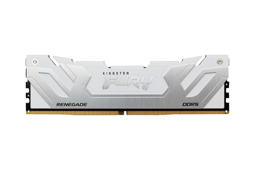 Kingston Technology Fury 24 Gb 8800 Mt Ddr5 Cl42 Cudimm Renegade Hvid