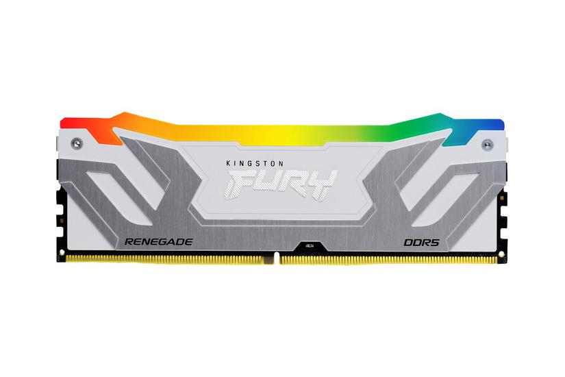 Kingston Technology Fury 24 Gb 8800 Mt Ddr5 Cl42 Dimm Renegade Rgb Hvid