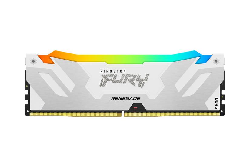 Kingston Technology Fury 24 Gb 8000 Mt Ddr5 Cl38 Dimm Renegade Rgb Hvid