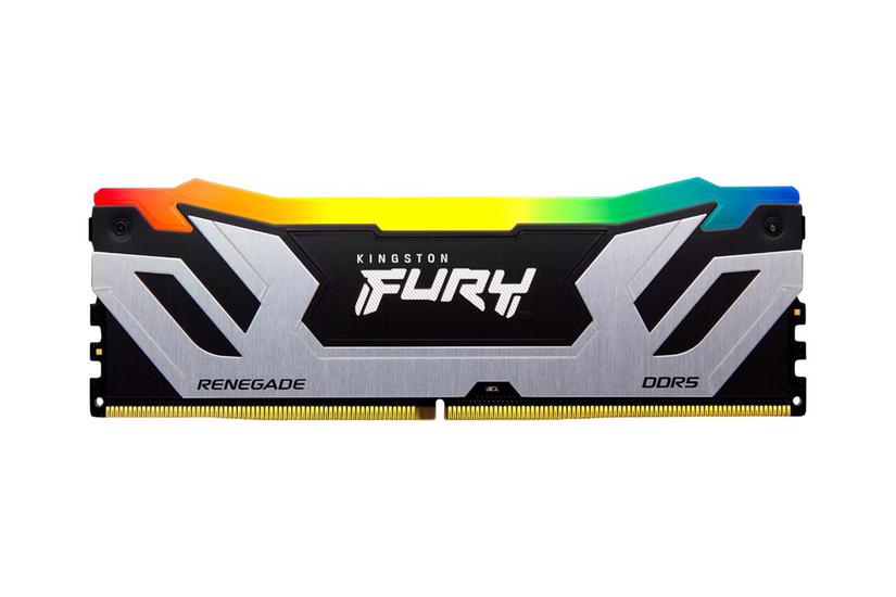 Kingston Technology Fury 24 Gb 8800 Mt Ddr5 Cl42 Dimm Renegade Rgb Sølv