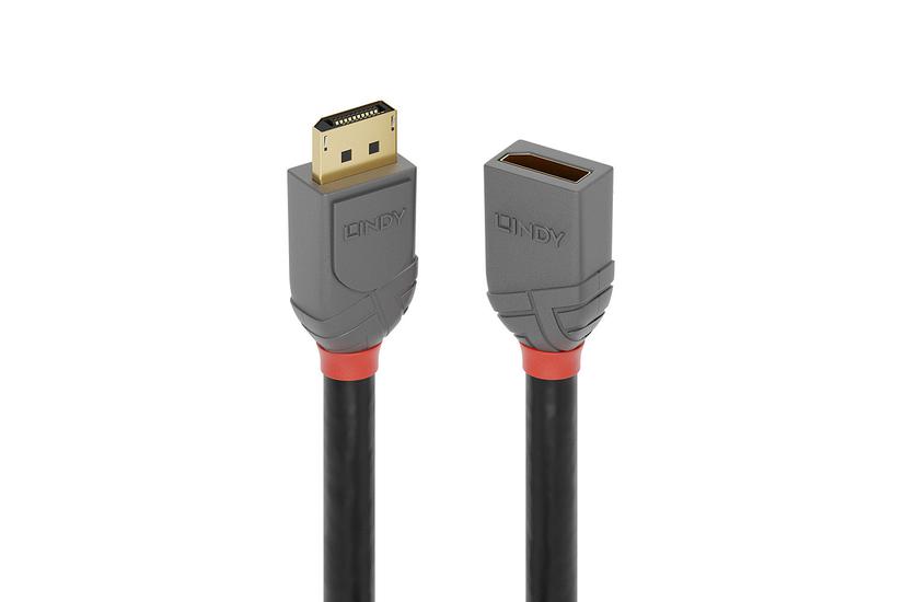 Lindy 36496 Displayport Kabel Sort
