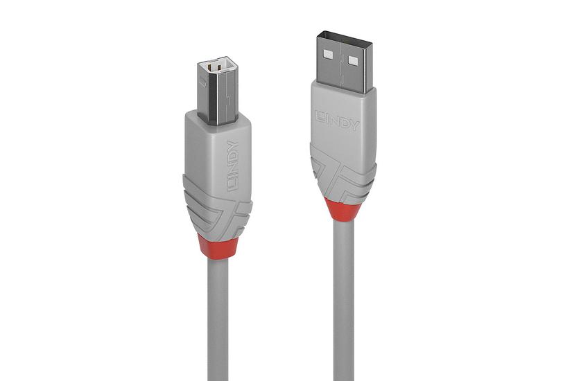 Lindy 36682 Usb-kabel Usb Usb Usb Grå