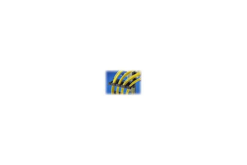 Rittal Dk Cable Routing Bar Kabeladministrationspakke For Rack 4u
