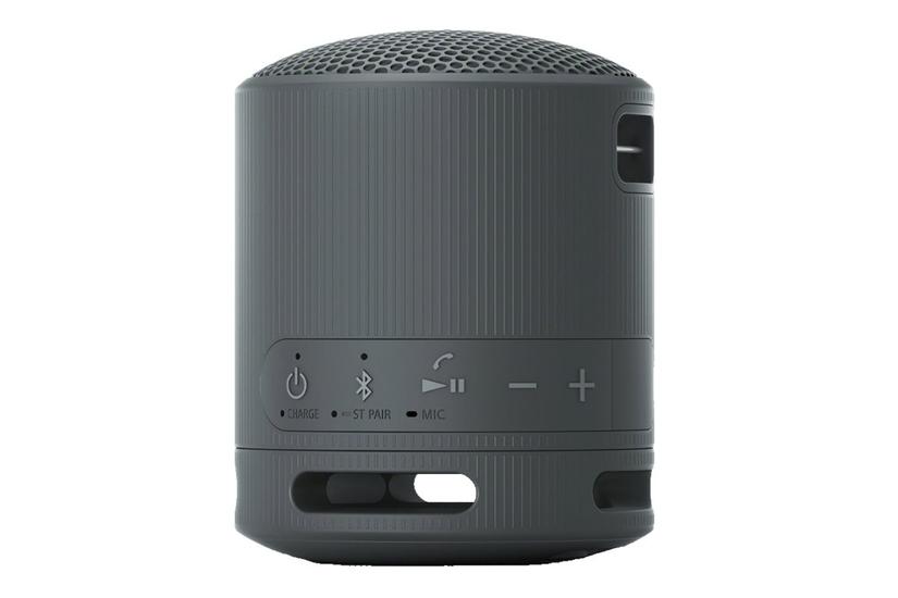Sony Srs-xb100 Højttaler Til Transportabel Brug Trådløs