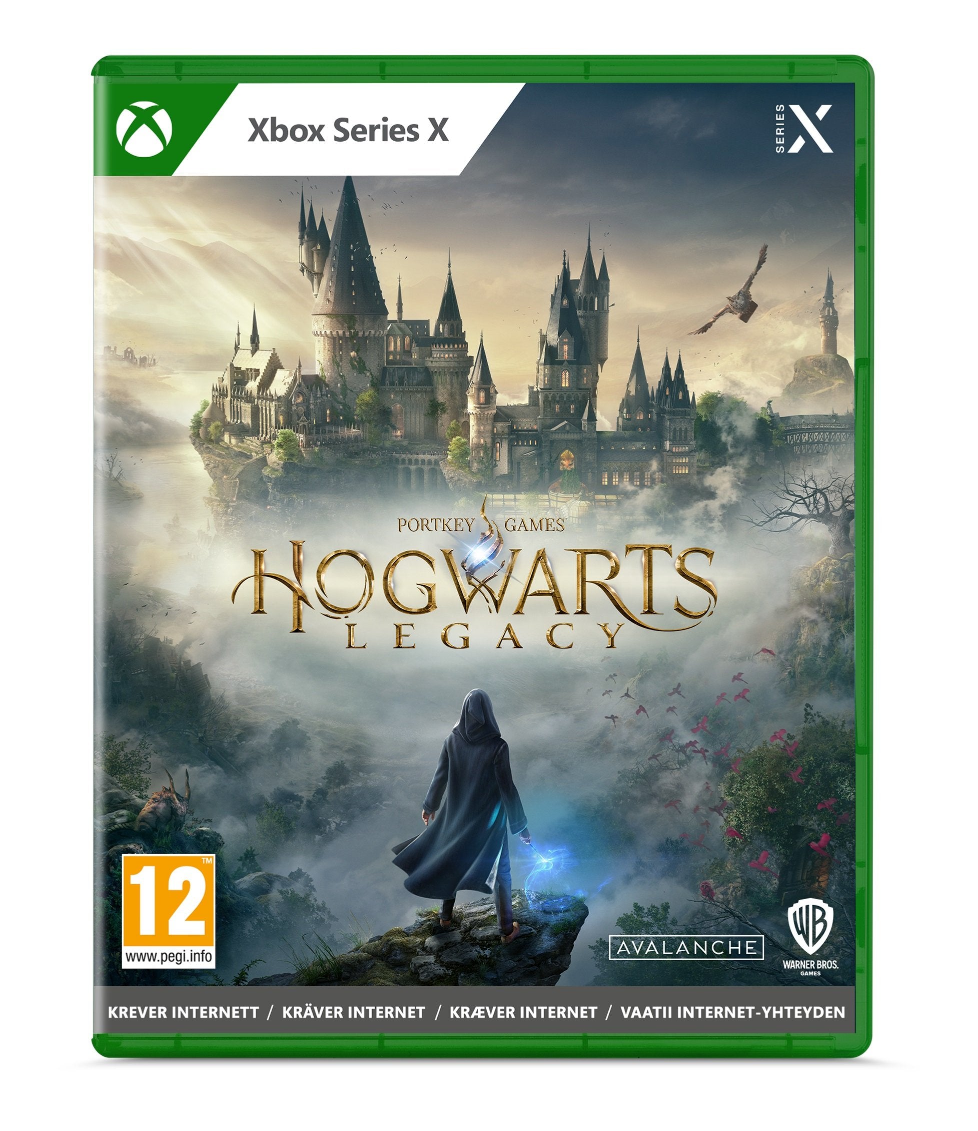 Hogwarts Legacy Xbox Series