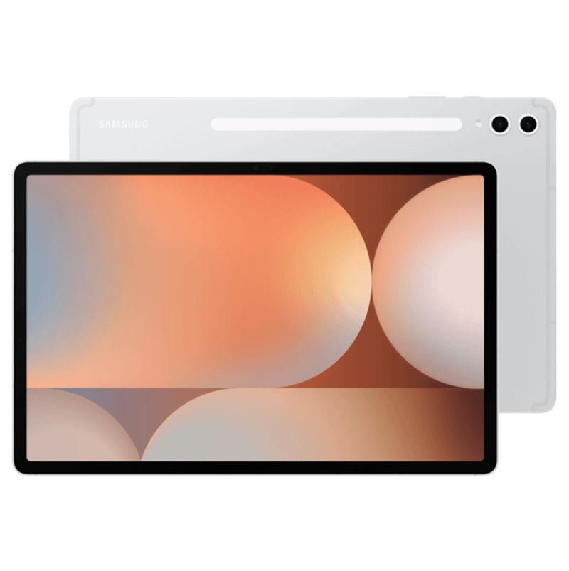 Samsung Galaxy Tab S10 Plus 256gb Silver