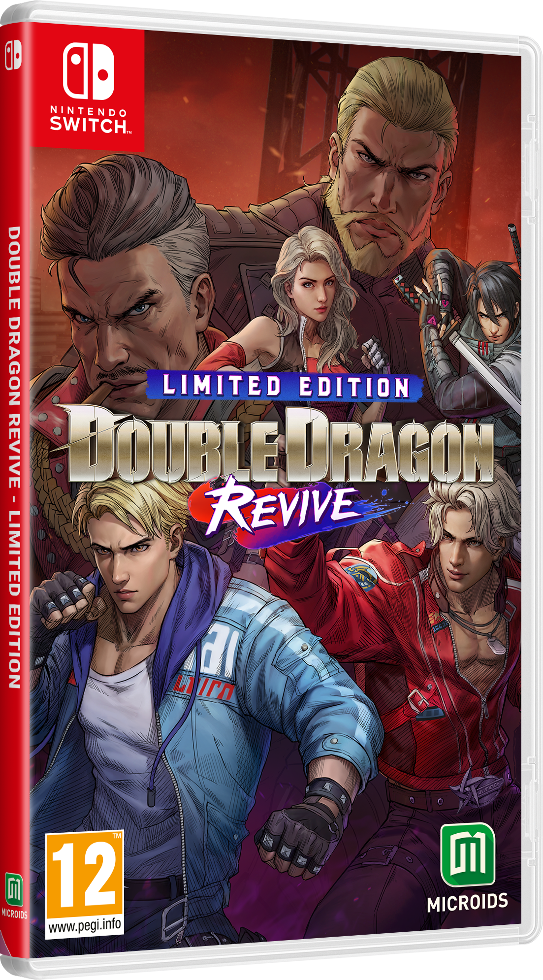Double Dragon: Revive  Day   Edition