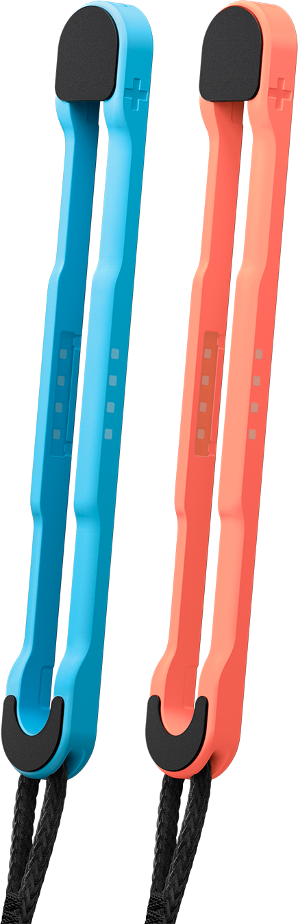 Nintendo Switch   Joy Con Strap Pair